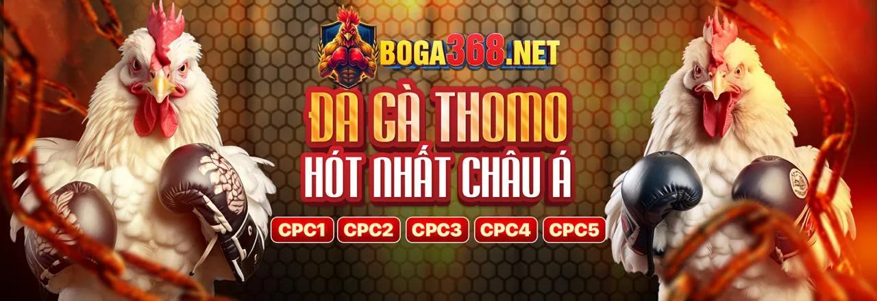 Sòng bạc Trực tuyến SAOBET 2026